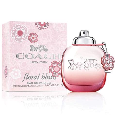 coach floral perfume chemist warehouse.